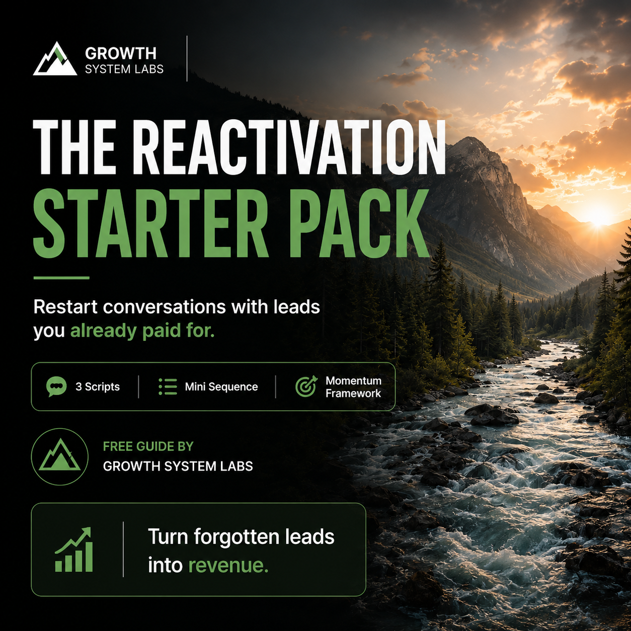 The Reactivation Starter Pack preview by Growth System Labs